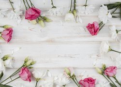 Kwiaty, Białe, Różowe, Eustomy, Deski