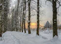 Zima, Śnieg, Drzewa, Brzozy, Droga, Cerkiew, Wschód słońca