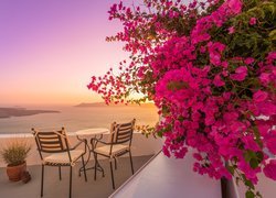 Grecja, Santorini, Taras, Krzesła, Kwiaty, Bugenwilla