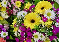 Kolorowe, Kwiaty, Bukiet, Gerbery