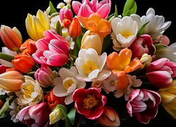 Tulipany, Bukiet, Zbliżenie