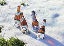 Piwo, Śnieg