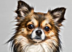 Chihuahua w grafice fractalius