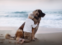 Chłopiec na plaży przytulający psa rasy leonberger
