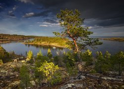 Rosja, Karelia, Jezioro, Ładoga, Skały, Drzewa, Krzewy