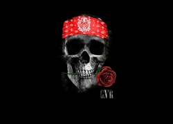 Czaszka z różą w zębach promująca zespół rockowy Guns N’ Roses