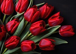 Tulipany, Czerwone, Kwiaty, Czarne, Tło