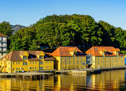 Domy na tle drzew w Bergen