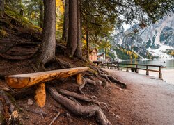 Drewniana ławka pod drzewami na drodze przy jeziorze Pragser Wildsee
