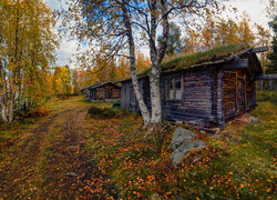 Drewniane domki pod jesiennymi brzozami nad jeziorem