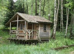 Drewniany domek na leśnej polanie