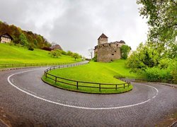 Księstwo, Liechtenstein, Vaduz, Zamek w Vaduz, Droga, Drzewa