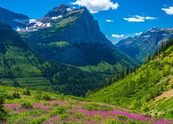 Park Narodowy Glacier, Góry Skaliste, Lato, Łąka, Zielone, Lasy, Montana, Stany Zjednoczone
