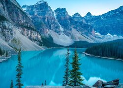 Drzewa, Góry, Jezioro, Moraine Lake, Park Narodowy Banff, Kanada