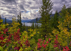 Jesień, Kolorowe, Drzewa, Liście, Jezioro, Muncho Lake, Góry, Kanada