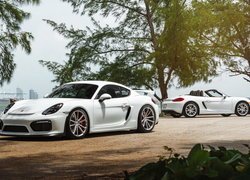 Dwa białe Porsche Cayman GT4