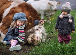 Dziewczynka trzymająca krowę za róg