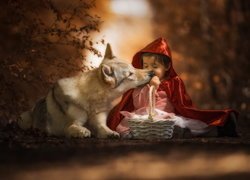 Dziewczynka w czerwonej pelerynie z wilczakiem czechosłowackim