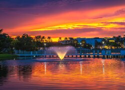Stany Zjednoczone, Palm Beach Gardens, Fontanna, Palmy, Zachód słońca