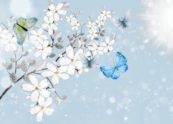 Gałązka, Białe, Kwiaty, Motyle, 2D