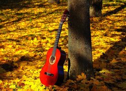 Gitara, Klasyczna, Czerwona, Opadłe, Liście, Drzewa, Jesień