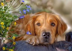 Pies, Golden retriever, Kwiaty, Grafika
