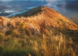 Nowa Zelandia, Gory, Roys Peak, Jezioro Wanaka, Mgła, Roślinność