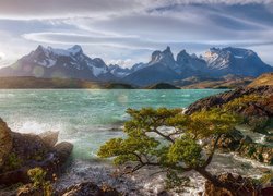 Niebo, Chmury, Góry, Cordillera del Paine, Jezioro, Lake Pehoe, Drzewo, Park Narodowy Torres del Paine, Patagonia, Chile
