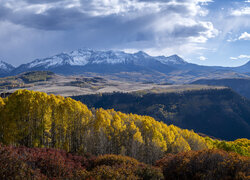 Góry, San Juan Mountains, Jesień, Las, Drzewa, Kolorado, Stany Zjednoczone