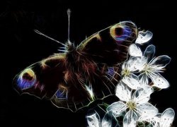 Motyl, Białe, Kwiaty, Czarne, Tło, Fractalius