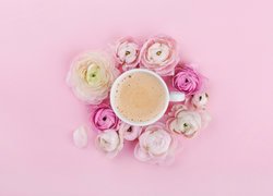 Kawa, Cappuccino, Kwiaty, Jaskry, Różowe, Tło