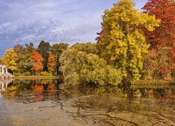 Jesienny krajobraz w Parku Pawłowskim