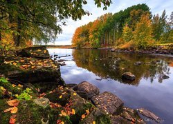 Rzeka, Drzewa, Jesień, Kamienie, Liście