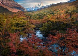Jesień, Góry Andy, Góra, Fitz Roy, Park Narodowy Los Glaciares, Drzewa, Rzeka, Patagonia, Argentyna