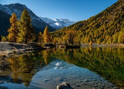 Jezioro i jesienny las na tle gór w szwajcarskiej dolinie Engadyna