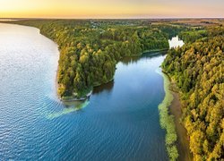 Jezioro Kaunas Reservoir, Park regionalny Kauno marios, Kowno, Litwa, Lasy