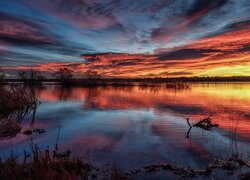 Chatfield State Park, Chmury, Jezioro, Lake Chatfield, Wschód słońca, Drzewa, Kolorado, Stany Zjednoczone