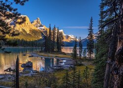 Góry, Jezioro, Maligne Lake, Drzewa, Park Narodowy Jasper, Kanada