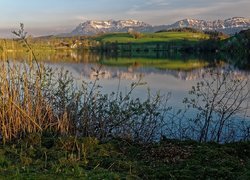 Góry Pilatus, Jezioro Soppensee, Krzewy, Trzciny, Kanton Lucerna, Szwajcaria