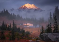 Park Narodowy Mount Rainier, Góry, Stratowulkan Mount Rainier, Mgła, Drzewa, Jezioro Tipsoo, Stan Waszyngton, Stany Zjednoczone