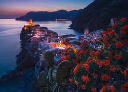 Włochy, Cinque Terre, Vernazza, Kwiaty, Morze, Góry, Domy, Zmierzch