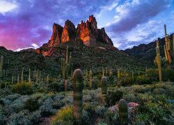 Stany Zjednoczone, Arizona, Góry, Superstition Mountains, Skały, Kaktusy, Drzewa, Roślinność, Chmury, Zachód słońca