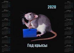 Kalendarz, 2020, Szczur, Krawat, Telefon, Teczka