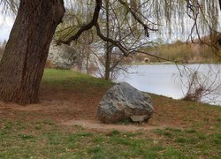 Kamień pod wierzbą nad rzeką