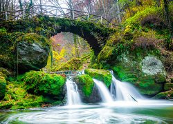 Las, Wodospad Schiessentumpel, Most, Rzeka, Omszałe, Kamienie, Skały, Drzewa, Mała Szwajcaria, Mullerthal, Luksemburg