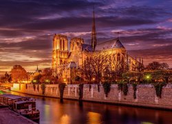 Katedra Notre Dame, Rzeka Sekwana, Noc, Paryż, Francja