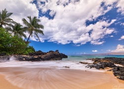 Hawaje, Palmy, Roślinność, Chmury