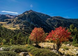 Góry, Pireneje, Jesień, Lasy, Kolorowe, Drzewa, Krzewy, Escaldes-Engordany, Andora