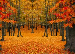 Jesień, Las, Drzewa, Opadłe, Liście, Grafika komputerowa