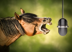 Koń rżący do mikrofonu
